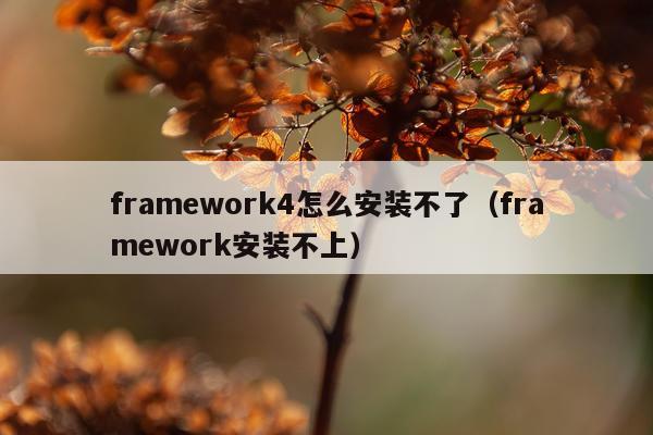 framework4怎么安装不了(framework安装不上)