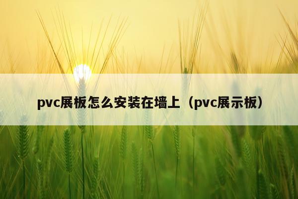 pvc展板怎么安装在墙上(pvc展示板)