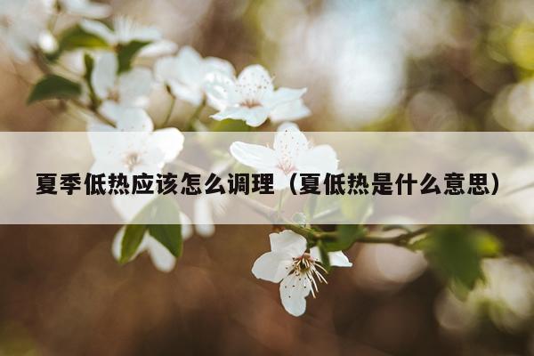 夏季低热应该怎么调理（夏低热是什么意思）