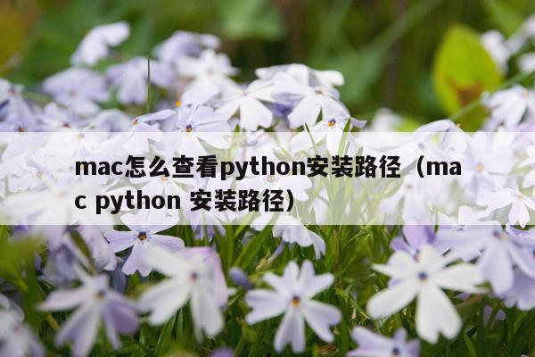 mac怎么查看python安装路径(mac python 安装路径)
