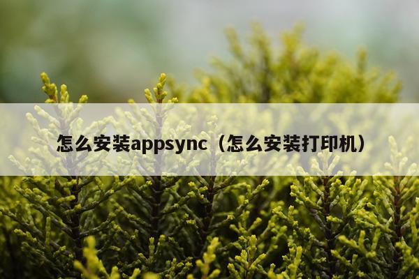 怎么安装appsync(怎么安装打印机)