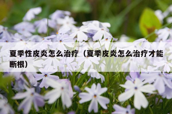 夏季性皮炎怎么治疗（夏季皮炎怎么治疗才能断根）