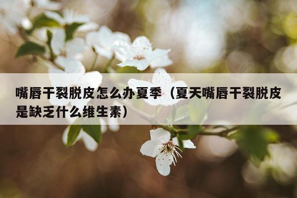 嘴唇干裂脱皮怎么办夏季（夏天嘴唇干裂脱皮是缺乏什么维生素）