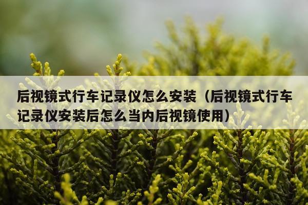 后视镜式行车记录仪怎么安装(后视镜式行车记录仪安装后怎么当内后视镜使用)