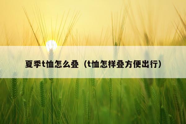 夏季t恤怎么叠（t恤怎样叠方便出行）