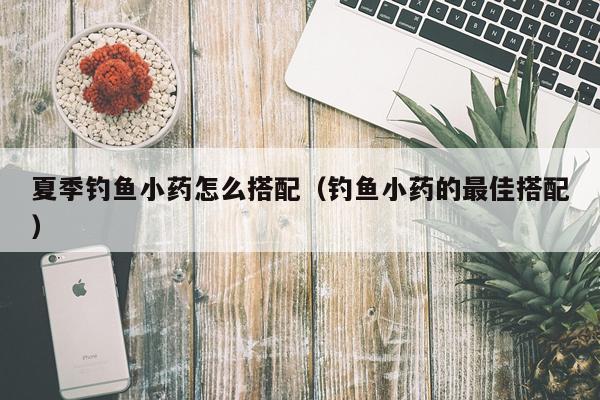 夏季钓鱼小药怎么搭配（钓鱼小药的最佳搭配）