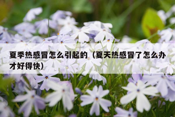 夏季热感冒怎么引起的（夏天热感冒了怎么办才好得快）