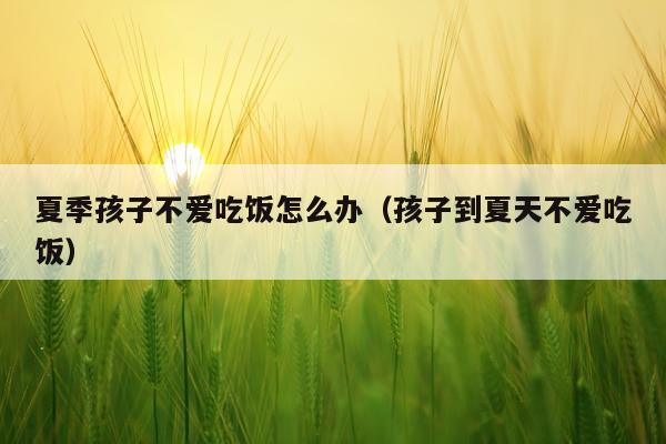 夏季孩子不爱吃饭怎么办（孩子到夏天不爱吃饭）