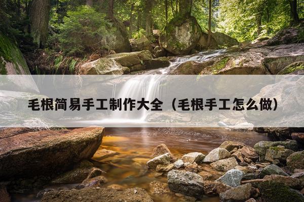 毛根简易手工制作大全（毛根手工怎么做）