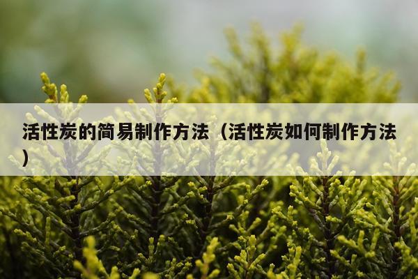 活性炭的简易制作方法（活性炭如何制作方法）