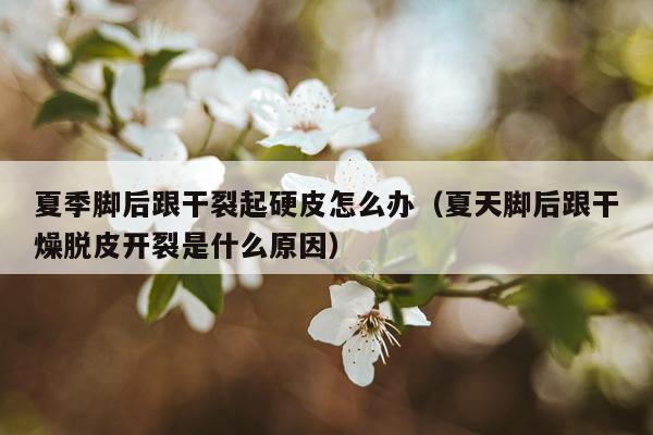 夏季脚后跟干裂起硬皮怎么办（夏天脚后跟干燥脱皮开裂是什么原因）