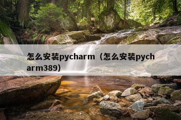 怎么安装pycharm(怎么安装pycharm389)