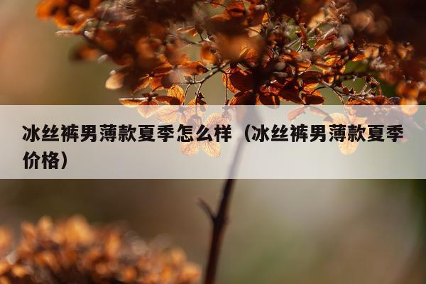 冰丝裤男薄款夏季怎么样（冰丝裤男薄款夏季价格）