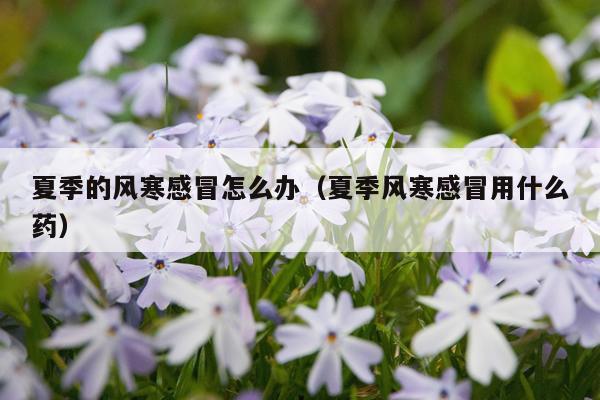 夏季的风寒感冒怎么办（夏季风寒感冒用什么药）