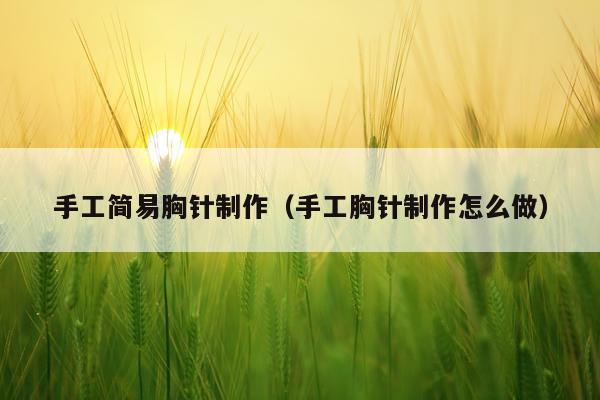 手工简易胸针制作（手工胸针制作怎么做）