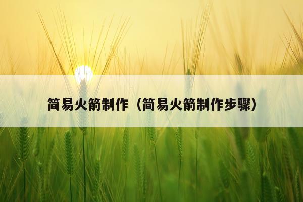 简易火箭制作（简易火箭制作步骤）