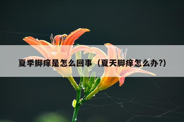 夏季脚痒是怎么回事（夏天脚痒怎么办?）