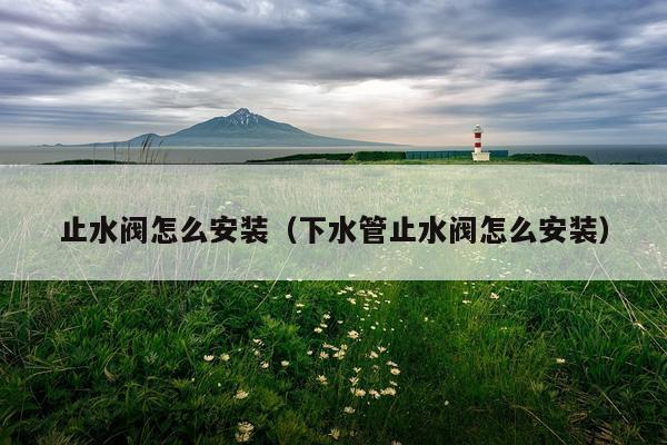 止水阀怎么安装(下水管止水阀怎么安装)