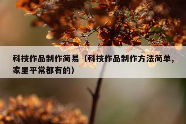 科技作品制作简易（科技作品制作方法简单,家里平常都有的）
