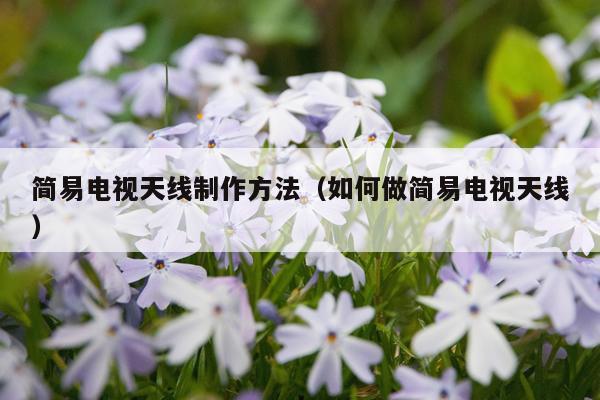 简易电视天线制作方法（如何做简易电视天线）