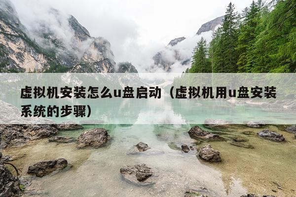 虚拟机安装怎么u盘启动(虚拟机用u盘安装系统的步骤)