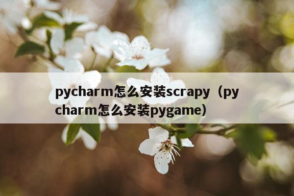 pycharm怎么安装scrapy(pycharm怎么安装pygame)