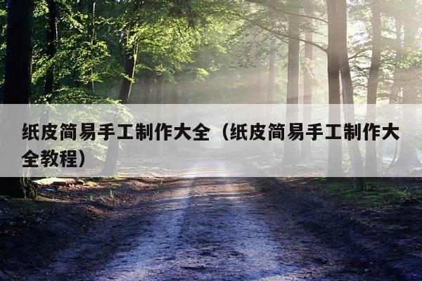 纸皮简易手工制作大全（纸皮简易手工制作大全教程）