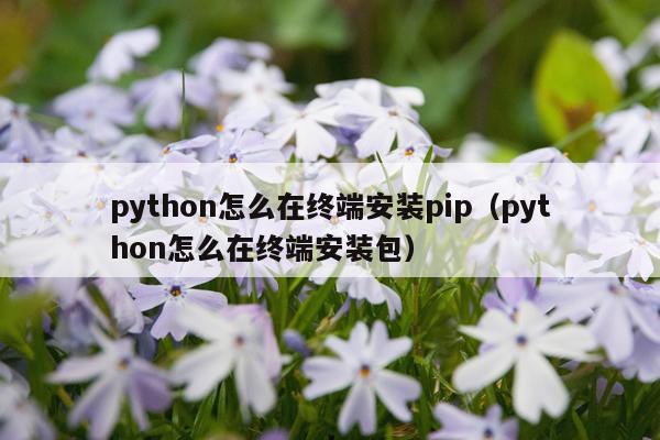 python怎么在终端安装pip(python怎么在终端安装包)