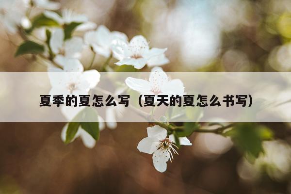 夏季的夏怎么写（夏天的夏怎么书写）