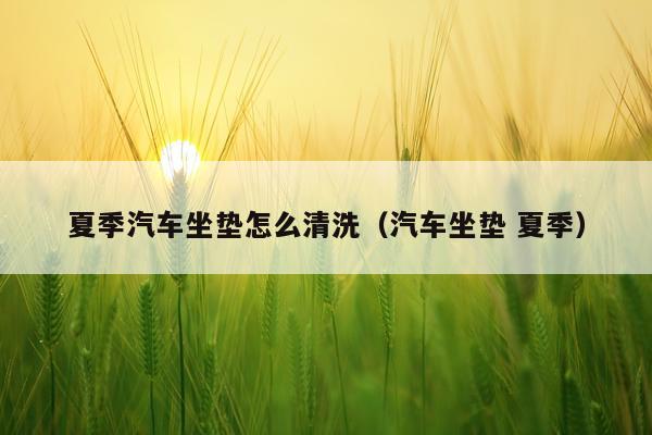 夏季汽车坐垫怎么清洗（汽车坐垫 夏季）