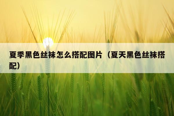 夏季黑色丝袜怎么搭配图片（夏天黑色丝袜搭配）