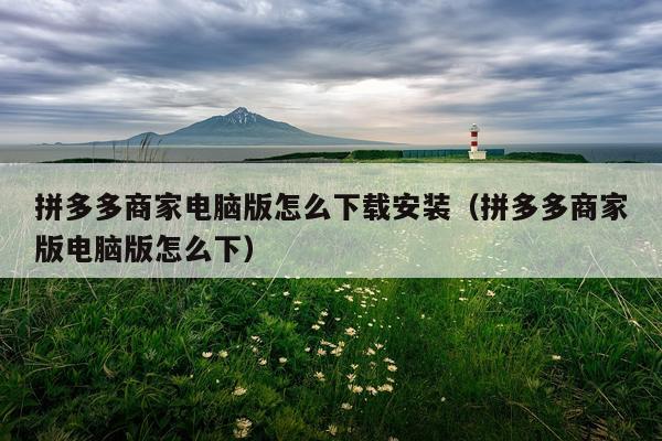 拼多多商家电脑版怎么下载安装(拼多多商家版电脑版怎么下)