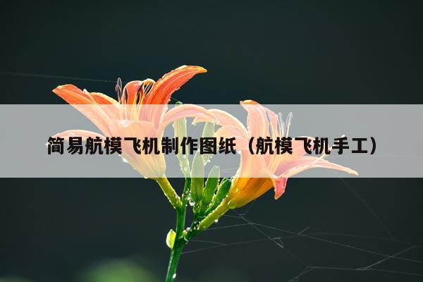 简易航模飞机制作图纸（航模飞机手工）
