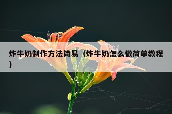 炸牛奶制作方法简易(炸牛奶怎么做简单教程)