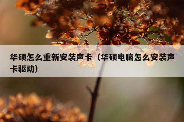 华硕怎么重新安装声卡(华硕电脑怎么安装声卡驱动)