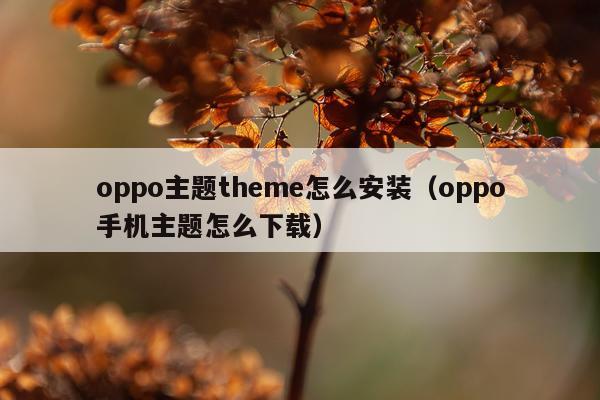 oppo主题theme怎么安装(oppo手机主题怎么下载)