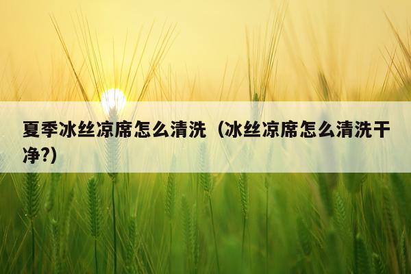 夏季冰丝凉席怎么清洗（冰丝凉席怎么清洗干净?）