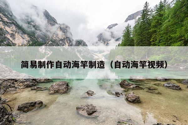 简易制作自动海竿制造（自动海竿视频）