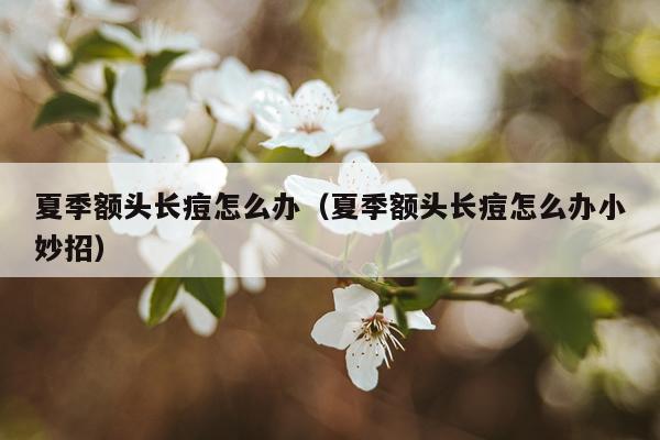 夏季额头长痘怎么办（夏季额头长痘怎么办小妙招）