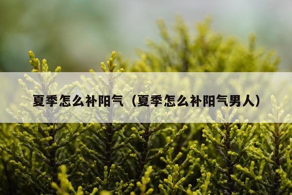 夏季怎么补阳气（夏季怎么补阳气男人）