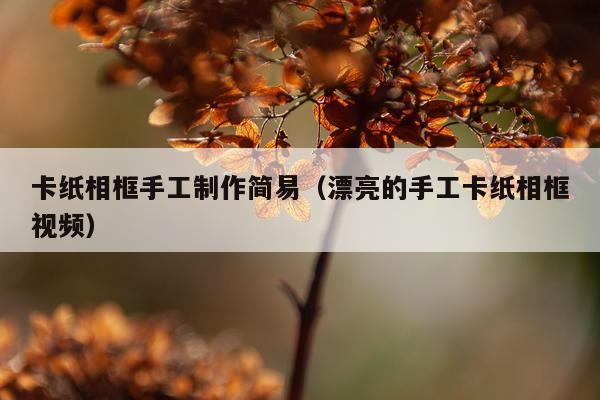 卡纸相框手工制作简易（漂亮的手工卡纸相框视频）