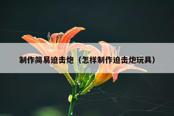 制作简易迫击炮（怎样制作迫击炮玩具）