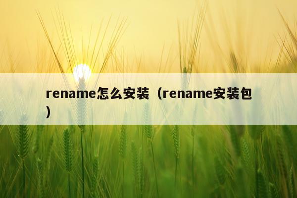rename怎么安装(rename安装包)