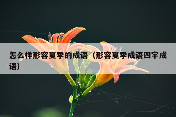 怎么样形容夏季的成语（形容夏季成语四字成语）