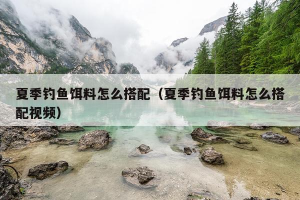 夏季钓鱼饵料怎么搭配（夏季钓鱼饵料怎么搭配视频）