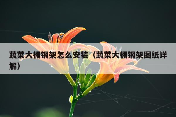 蔬菜大棚钢架怎么安装(蔬菜大棚钢架图纸详解)