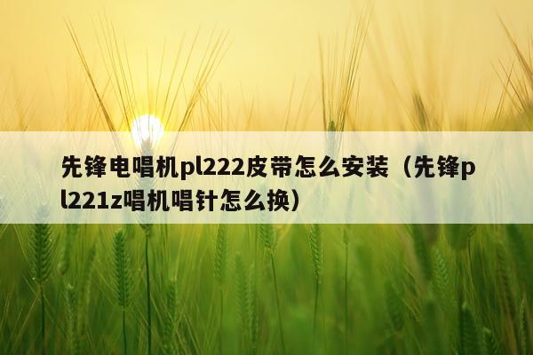 先锋电唱机pl222皮带怎么安装(先锋pl221z唱机唱针怎么换)