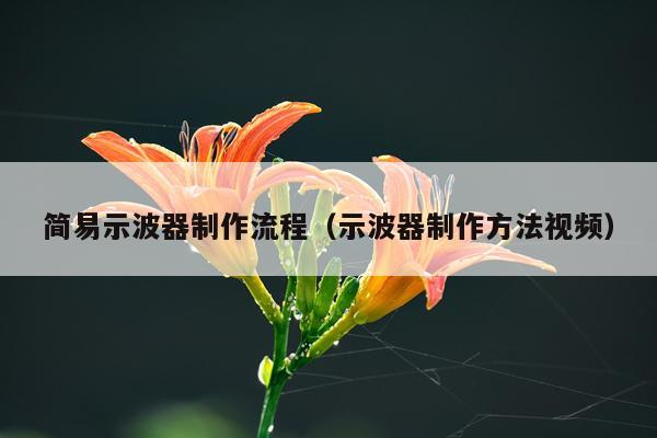 简易示波器制作流程（示波器制作方法视频）