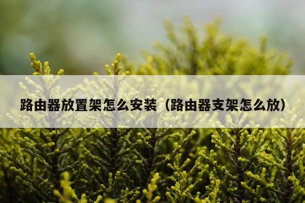 路由器放置架怎么安装(路由器支架怎么放)