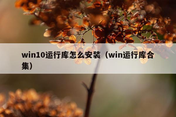 win10运行库怎么安装(win运行库合集)